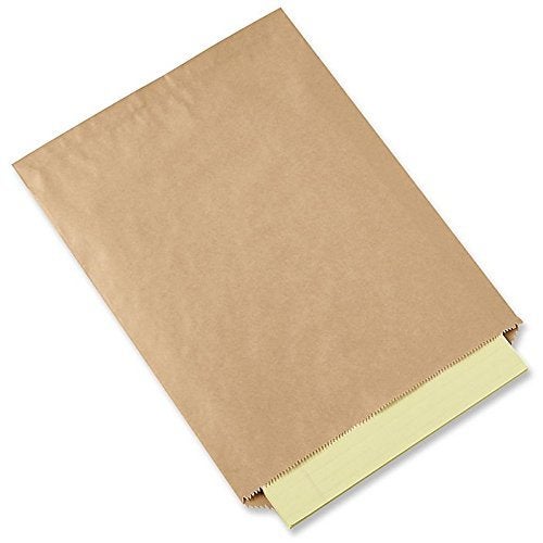 Natural Kraft Merchandise Bags 5x712 No Gusset 200 A1 Bakery Supplies